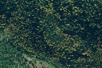 Trail1070-002