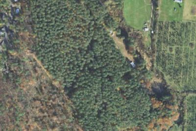 Tree Farm Campground