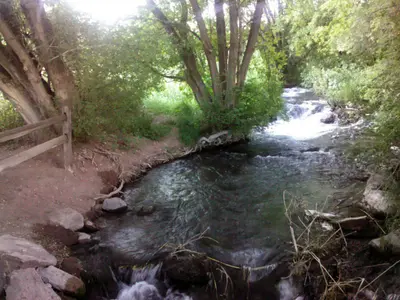 Rifle Creek above Rifle Falls - panoramio