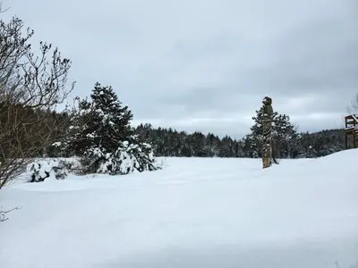 Lac Castor Saint-Paulin 3
