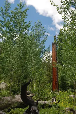 Boulder, CO, USA - panoramio (3)
