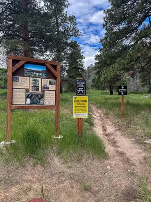 Bristlecone Ridge Trail Access (55380496503)