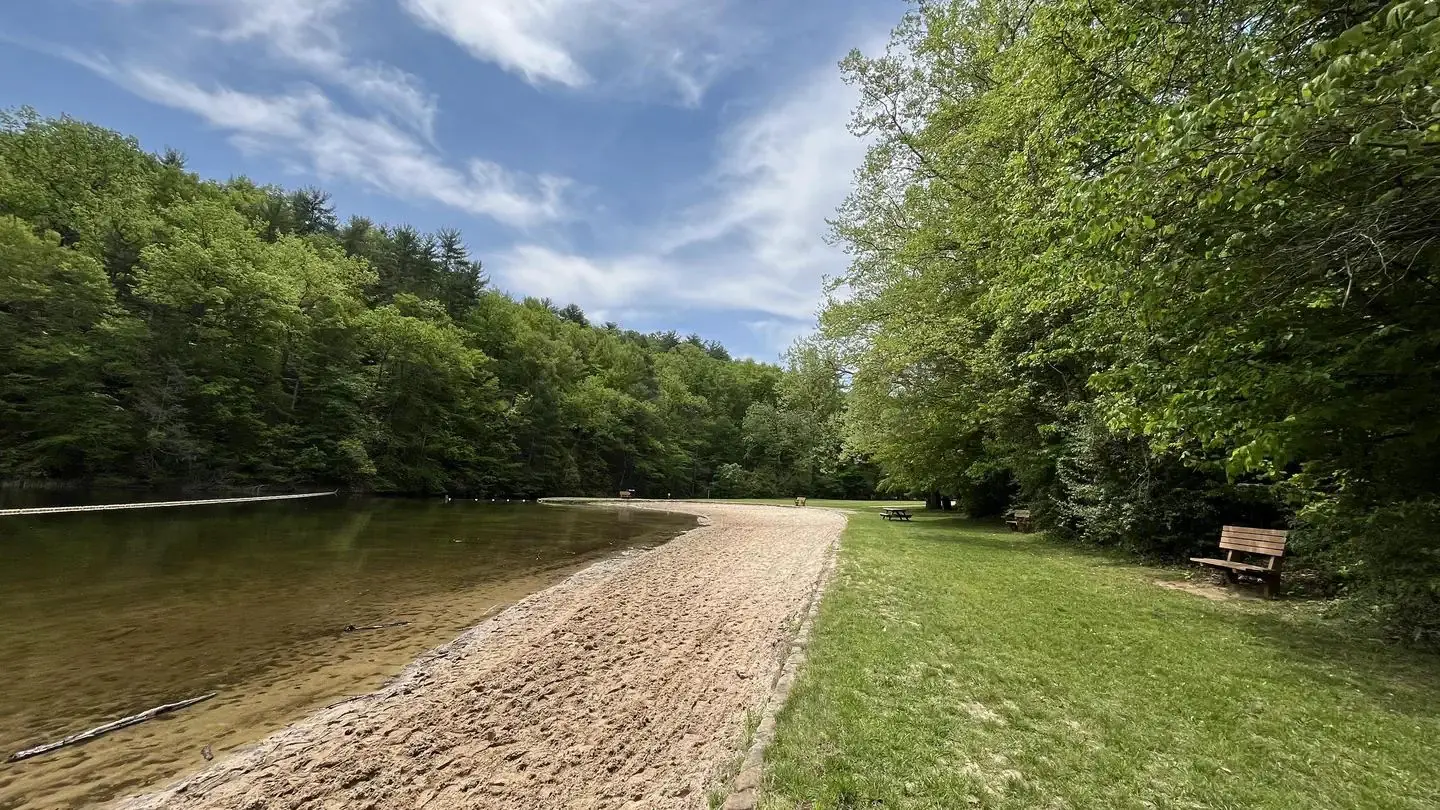 Sandy beach surrounded by grass and trees