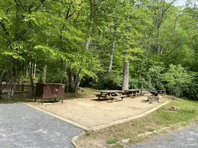 Gravel tent pads surrounded by grass. Tent site contains wooden picnic tables and a brown bear pro storage box.
