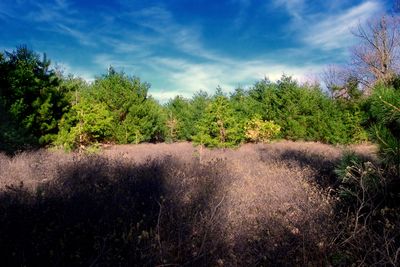 Flickr - Nicholas T - Shadow Line