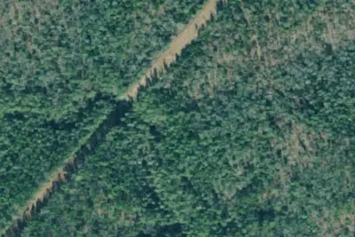 Camp site