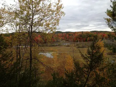 Manistee River in Autumn 2012 - panoramio