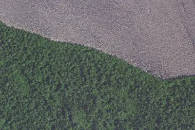 Elbow Lake Site 2