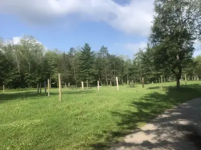 Group Camp