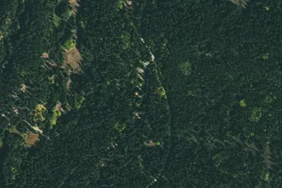 Camp site