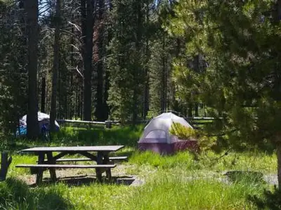 Trap Creek Campground