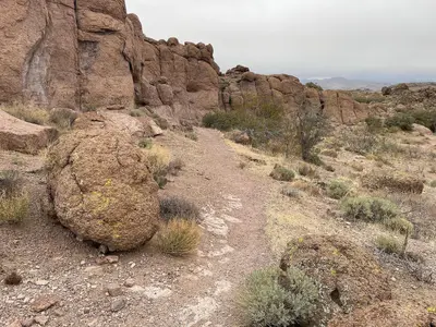 Monolith Gardens Trail in the Cerbat Foothills Recreation Area (54999833834)