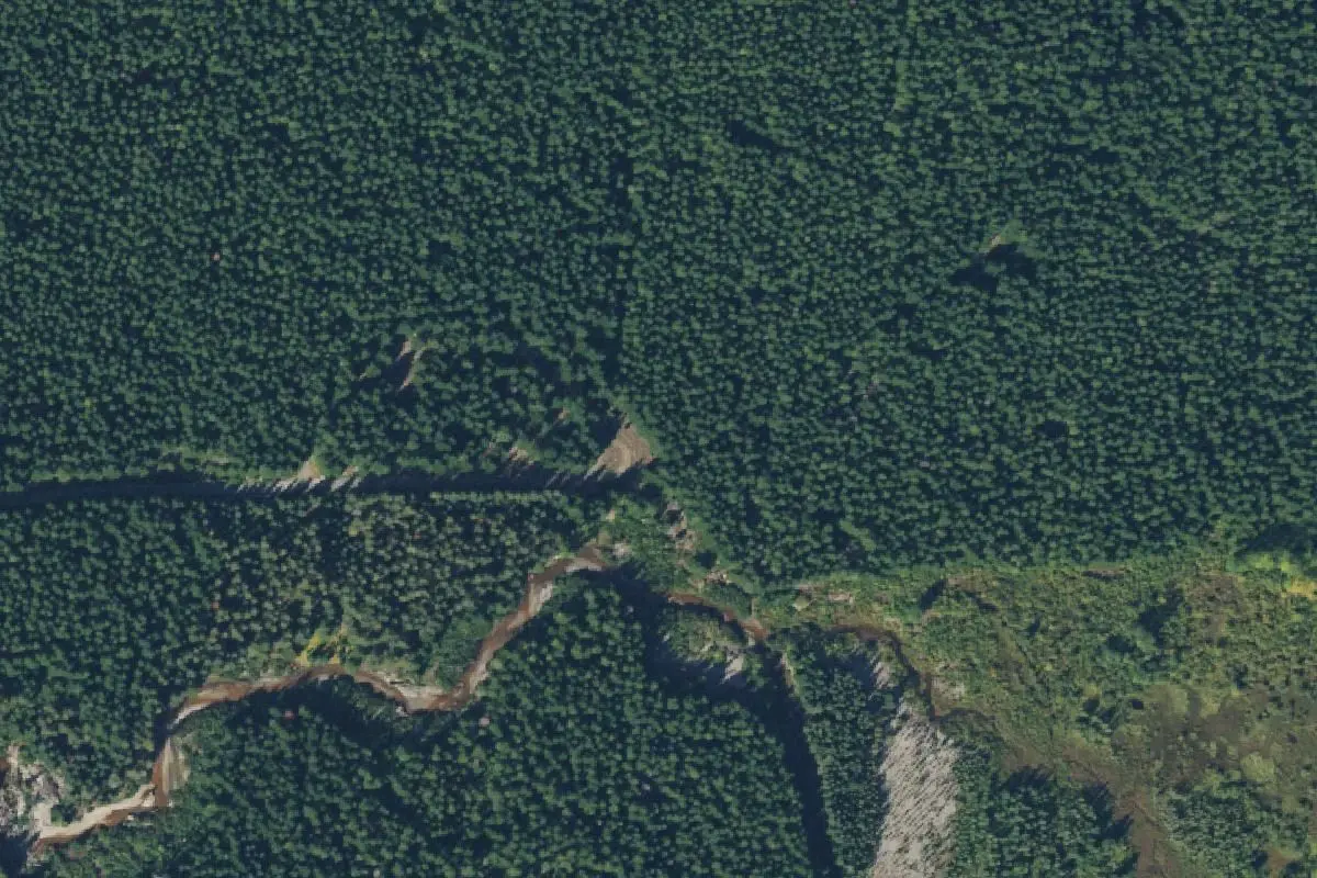 Aerial view