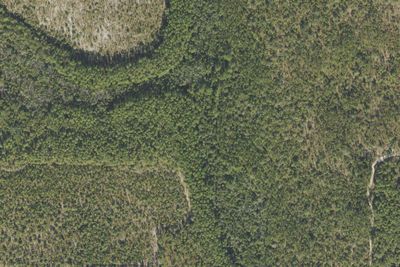 Burnt Grocery Campsite