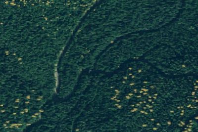 Rd 5900 Jungle Creek