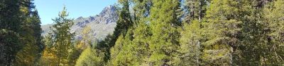 Wild Plum Campground