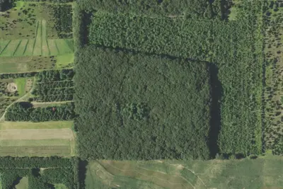 Camp site