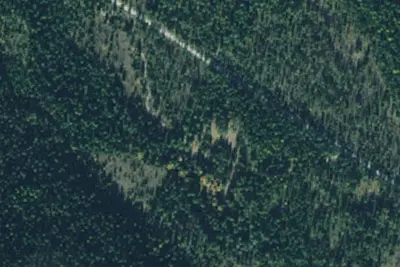 Tamarack 002e