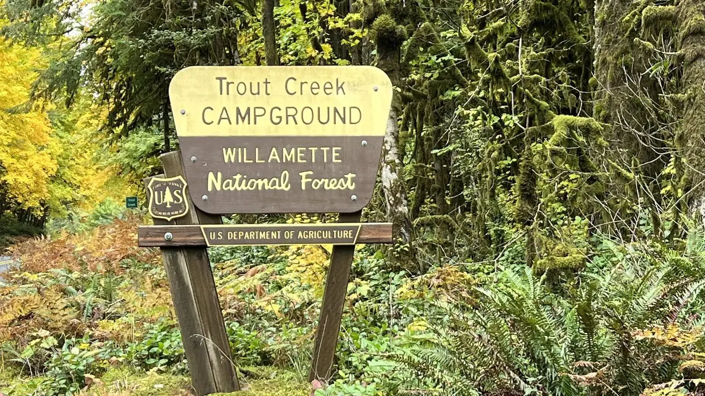 Trout Creek Campground located in the Willamette National Forest