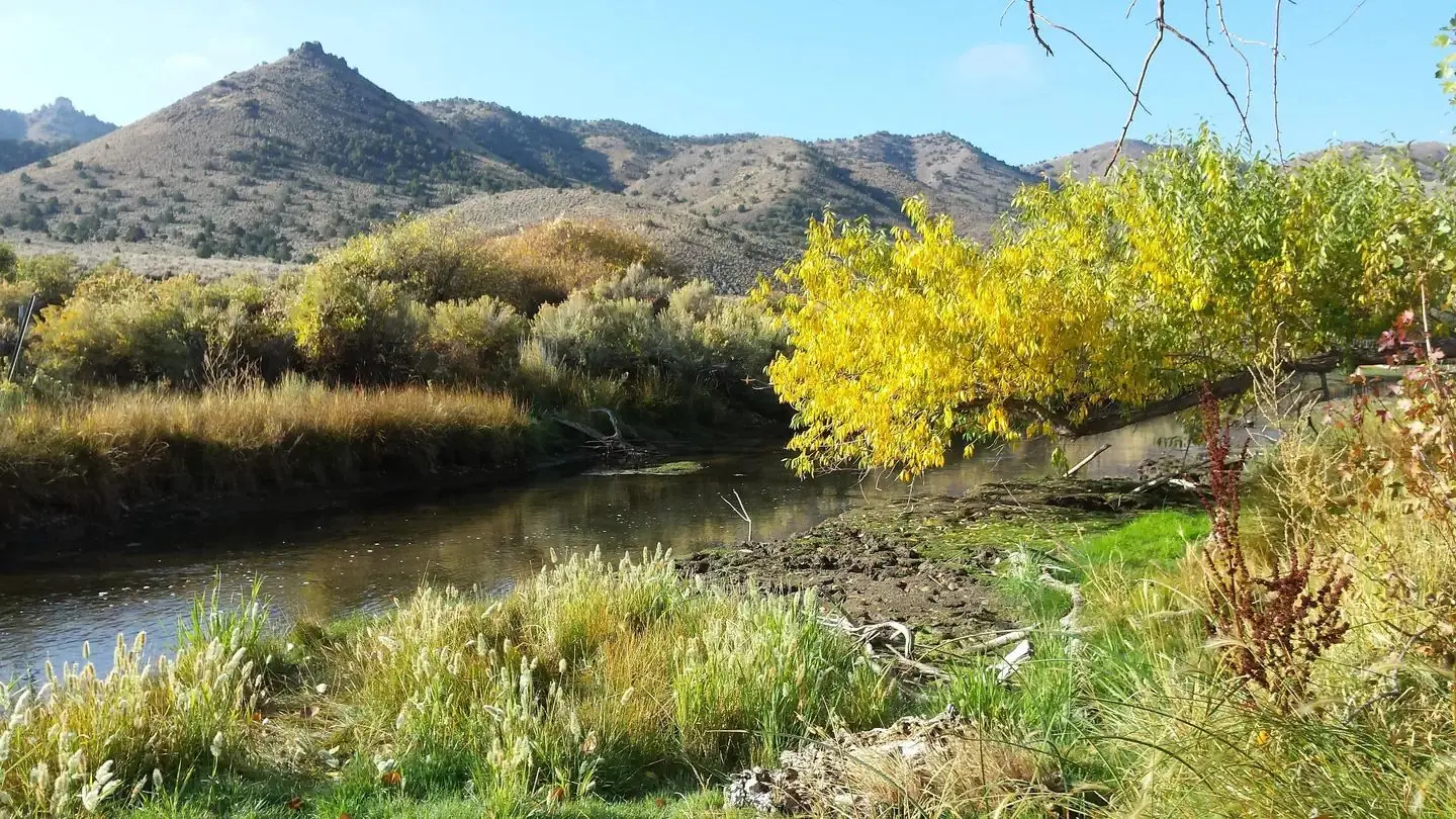 A photo of Beaver River within the  Hanging Rock Campground