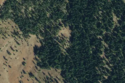 Camp site