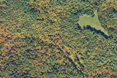 Camp site