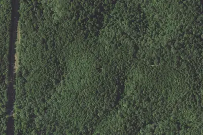 Camp site