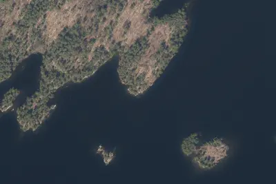 Site 31