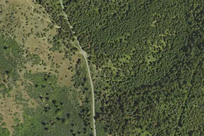 Camp site