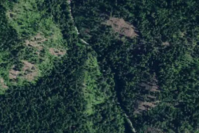 Rd 438 Site 5