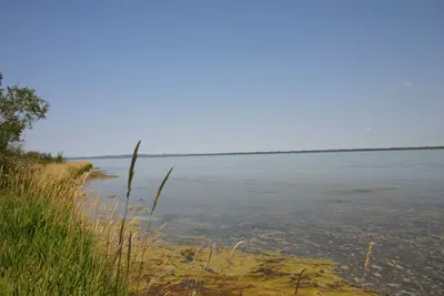 Near the boat launch (220510509)