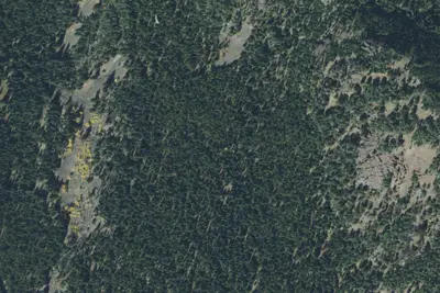 Fr 3163 East Fork Hyalite Creek 056