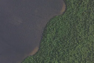 Fourmile Lake Site 2