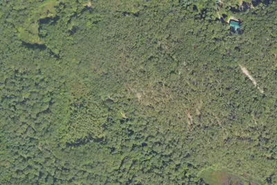 Site 13