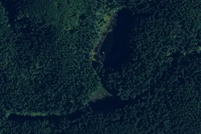 Lily Lake Horse Camp