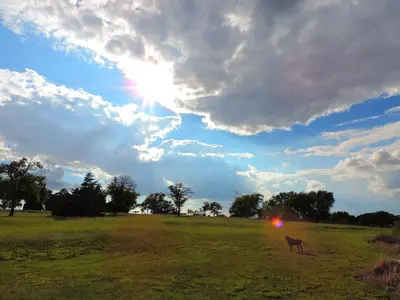 Foss State Park