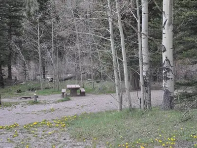 Lake Fork Campground Site 14