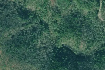 Camp site