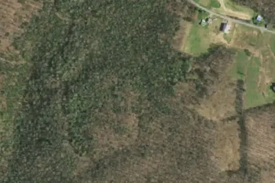 Forest camp site