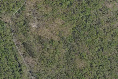 Camp site