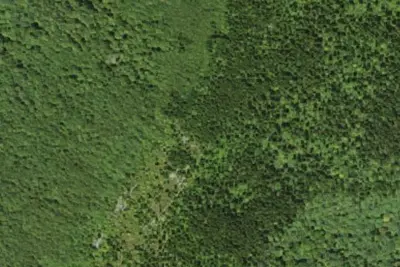 Camp site