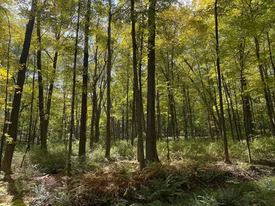 Sal J. Prezioso Mountain Lakes Park