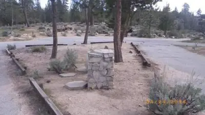 Meadow group campground7