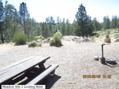 Meadow group campground3