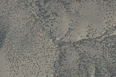 Camp site