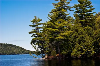 Moosehead Lake - Rowley Cove III (9355459676)