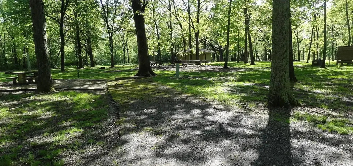 Shagbark Group Area Sites