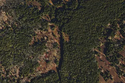 Camp site