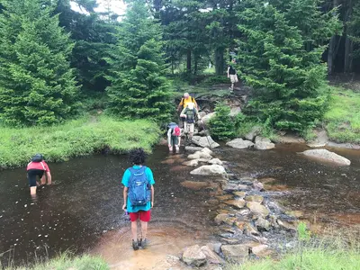 Dolly Sods - July 2019 - 15
