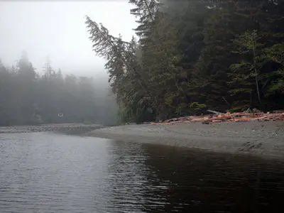 Walbran Creek and Cable Car - panoramio